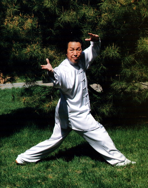 Mistr Gao Ji Wu